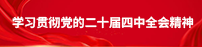 学习贯彻党的二十届四中全会精神