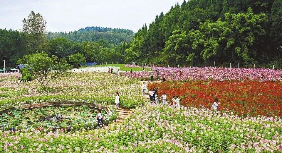 精准施策力促乡村旅游提质升级